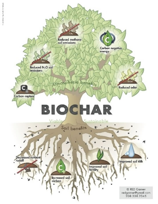 Biomass Advantages